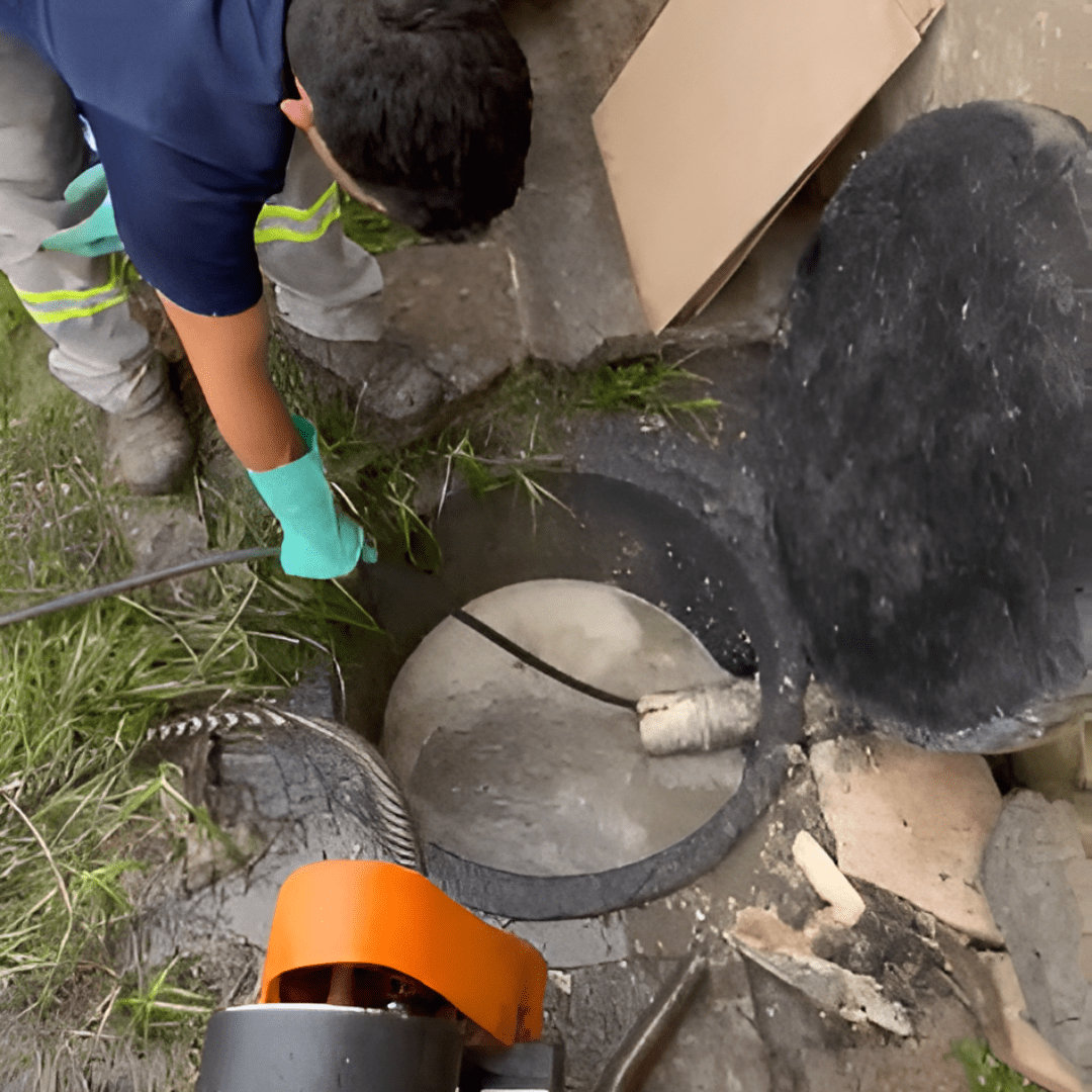 prolimpdesentupidora